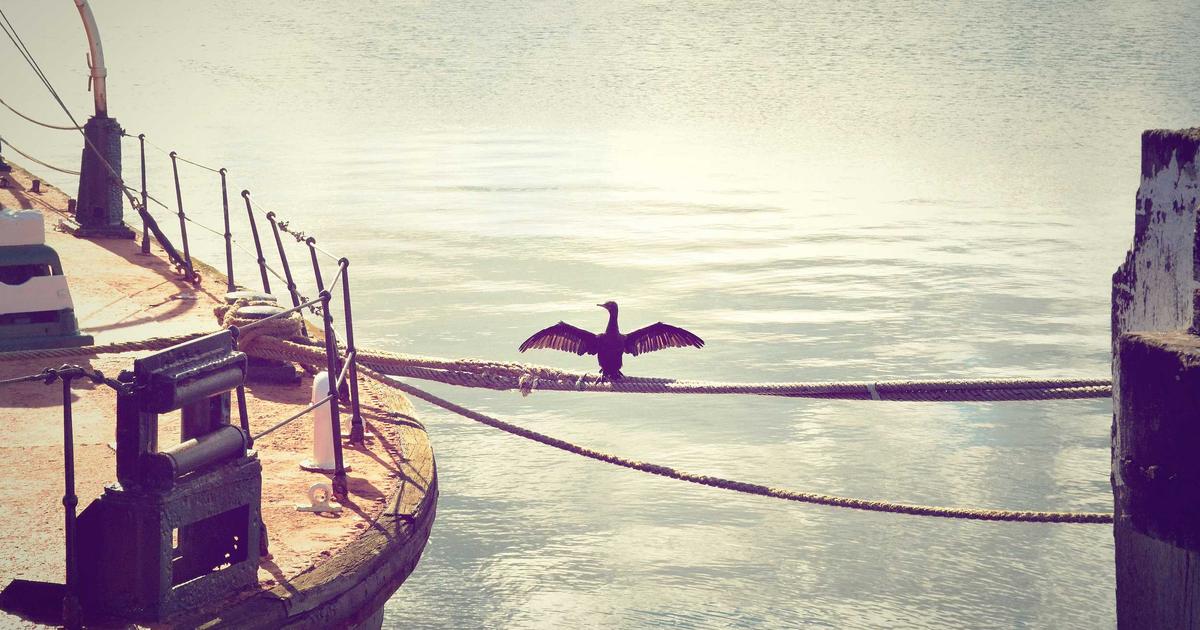 How Much Does a Website Cost in 2026? An Honest Breakdown