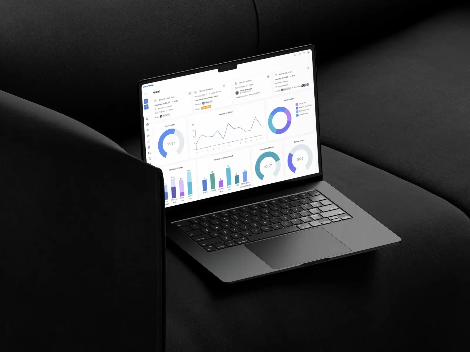 Mega Panda Projektgalerie